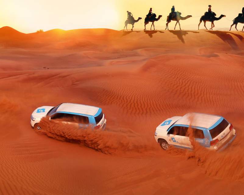 Desert Safari